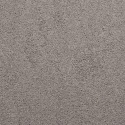 Dixie Home Carpet Caress G5206 66069