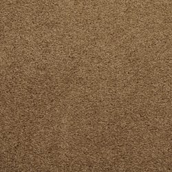 Dixie Home Carpet Caress G5206 76036