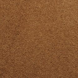 Dixie Home Carpet Caress G5206 76037