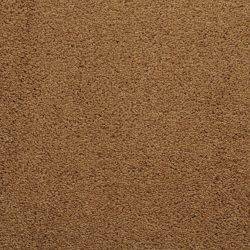 Dixie Home Carpet Caress G5206 76052