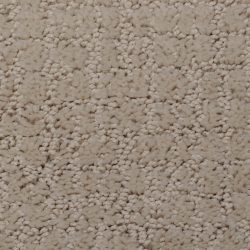 Dixie Home Carpet Interlace G5208 26138