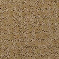 Dixie Home Carpet Interlace G5208 46135
