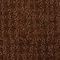 Dixie Home Carpet Interlace G5208 76134