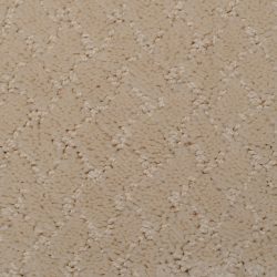 Dixie Home Carpet Calm Seas G5209 16140