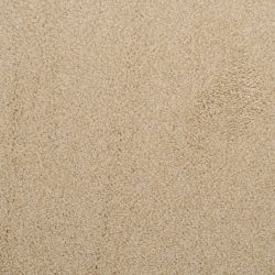 Dixie Home Carpet Fascination G5213 16139