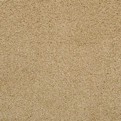 Dixie Home Carpet Fascination G5213 26145
