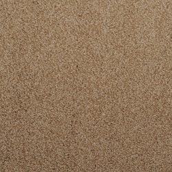 Dixie Home Carpet Fascination G5213 36131