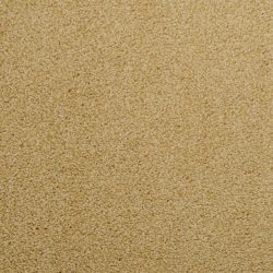 Dixie Home Carpet Fascination G5213 46140