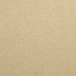 Dixie Home Carpet Fascination G5213 46146