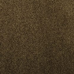 Dixie Home Carpet Fascination G5213 56129