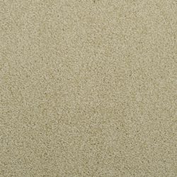 Dixie Home Carpet Fascination G5213 56141