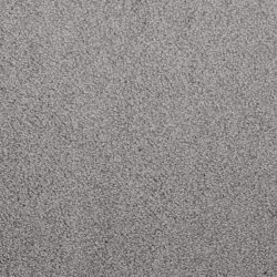 Dixie Home Carpet Fascination G5213 66130