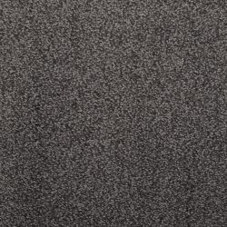 Dixie Home Carpet Fascination G5213 66142