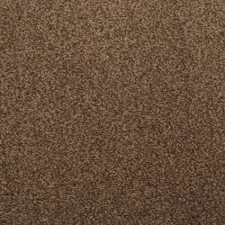 Dixie Home Carpet Fascination G5213 76137