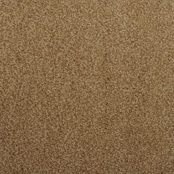 Dixie Home Carpet Fascination G5213 76144