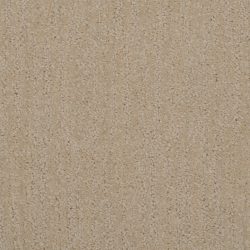 Dixie Home Carpet Tranquil Moment G5215 11720