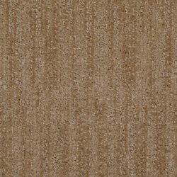 Dixie Home Carpet Tranquil Moment G5215 31729