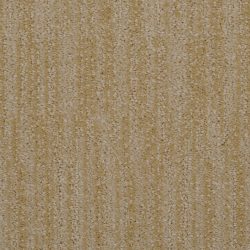 Dixie Home Carpet Tranquil Moment G5215 41712