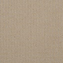 Dixie Home Carpet Finesse G5216 11720