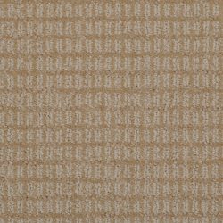 Dixie Home Carpet Finesse G5216 21716