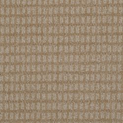Dixie Home Carpet Finesse G5216 21721