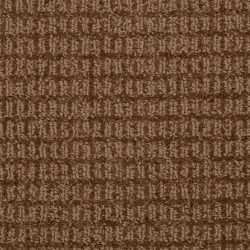 Dixie Home Carpet Finesse G5216 31723