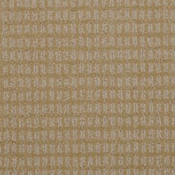 Dixie Home Carpet Finesse G5216 41712