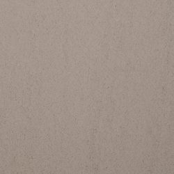 Dixie Home Carpet Touch Of Velvet G5218 16308