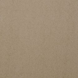 Dixie Home Carpet Touch Of Velvet G5218 16310