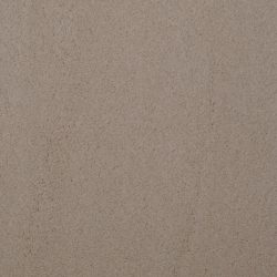 Dixie Home Carpet Touch Of Velvet G5218 26305
