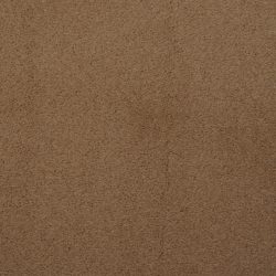 Dixie Home Carpet Touch Of Velvet G5218 26317