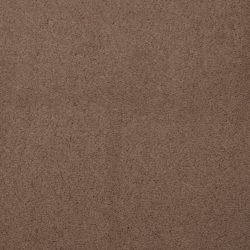 Dixie Home Carpet Touch Of Velvet G5218 26323