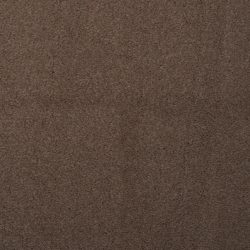 Dixie Home Carpet Touch Of Velvet G5218 36311