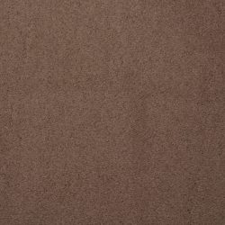 Dixie Home Carpet Touch Of Velvet G5218 36314