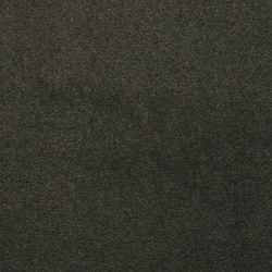 Dixie Home Carpet Touch Of Velvet G5218 56319