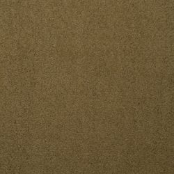 Dixie Home Carpet Touch Of Velvet G5218 56334