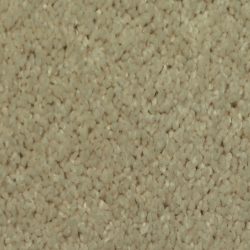 Dixie Home Carpet Maraca G5219 17109