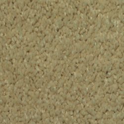 Dixie Home Carpet Maraca G5219 17118