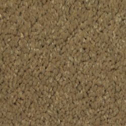 Dixie Home Carpet Maraca G5219 27104