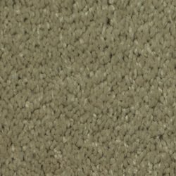 Dixie Home Carpet Maraca G5219 27116