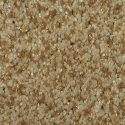 Dixie Home Carpet Maraca G5219 27124