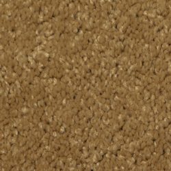 Dixie Home Carpet Maraca G5219 37112