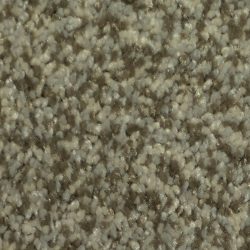 Dixie Home Carpet Maraca G5219 37125
