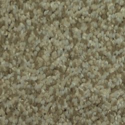 Dixie Home Carpet Maraca G5219 37132