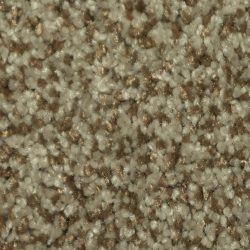Dixie Home Carpet Maraca G5219 37133