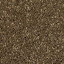 Dixie Home Carpet Maraca G5219 77103