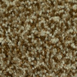 Dixie Home Carpet Maraca G5219 77126