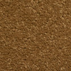 Dixie Home Carpet Maraca G5219 97119