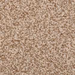 Dixie Home Carpet Heart's Content G5221 35312