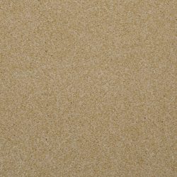 Dixie Home Carpet Enthralled G5224 17504